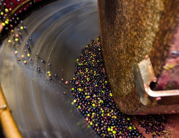Process of making olive oil smanjena